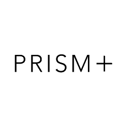 Prism Tech Private Limited Logo